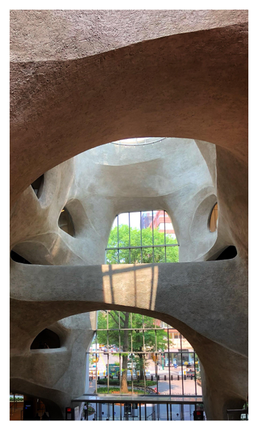 Photo of the central atrium of the Richard Gilder Center for Science, Education, and Innovation at the American Museum of Natural History. The design evokes a rock canyon, avoiding straight lines in favor of organic curves and contours. Sunlight casts the shadow of a barred window in warm rectangles of light on a central “stone” arch. Further back is the glass-paneled facade and entrance, several stories high, beyond which is a tall tree with vivid green leaves and city buildings and streets.