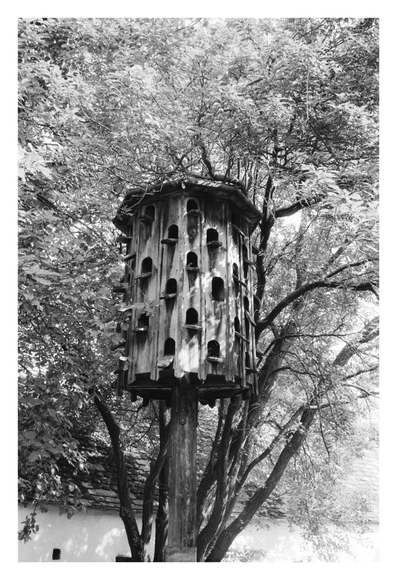 Ein Taubenschlag aus Holz als Hochhaus für die Tauben des Museumsdorfes. Gesehen bei Niedersulz im Weinviertel.
