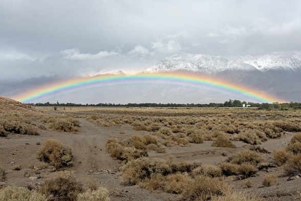 A color landscape photo of a low rainbow over an area of green trees. In the foreground are dry brown brush. The middle ground shows a line of green trees. The rainbow is a low arc over the trees. In the background are partially cloud shroud snow covered rugged mountains. 