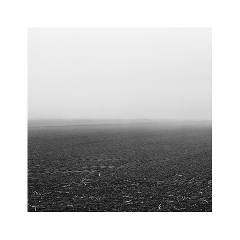 a square monochrome image of a hazy field. the frame is split in halves, the top is showing the white fog, the bottom is showing the dark soil