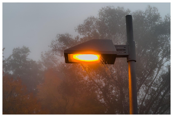 Eine Straßenlaterne wirft orangefarbenes Licht in den Nebel. Im Hintergrund orangerote Bäume halb vom Nebel verschluckt.
