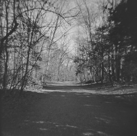 A black and white photo of a dirt road/path taken with a Holga 'toy' camera with a plastic lens which makes the photo look like it could have come from the 1800s.