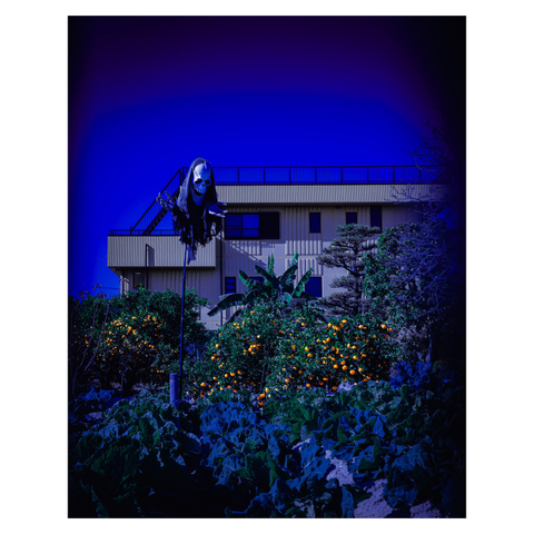 A color photo of a vegetable and mikan (orange) garden with a spooky scarecrow figure standing tall at the center. The scarecrow has a skeletal mask and tattered black robes, resembling a ghostly reaper. Behind it is a beige apartment building, and the sky glows deep blue, giving the scene an eerie yet oddly cheerful contrast between ripe fruit and haunting presence.