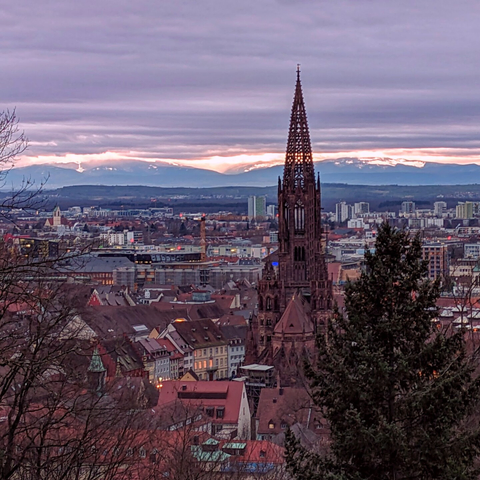 Blick vom Freiburger Schlossberg über die Altstadt bis zu den Schneebedeckten Vogesen