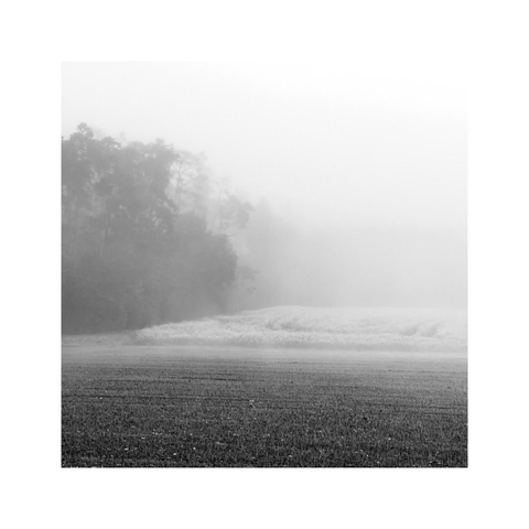 the landscape is disappearing in the distance in a wall of dense, white fog. in the foreground there are some fields, in the background a dark forest is more and more disappearing in the cloudy mist