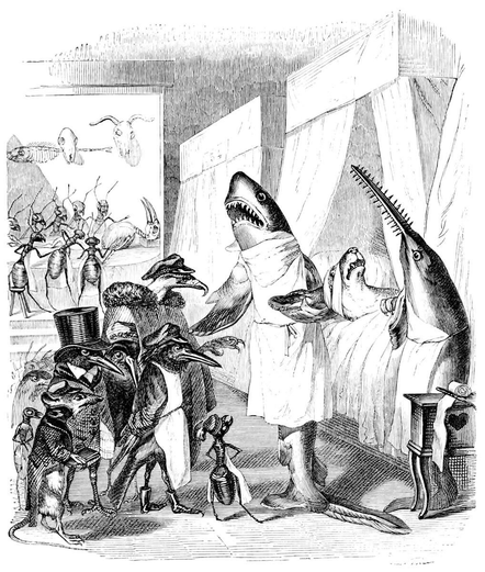 In a hospital room, a shark dressed as a surgeon explains to a small group of animals how he will treat and cure the worried patient lying in bed.