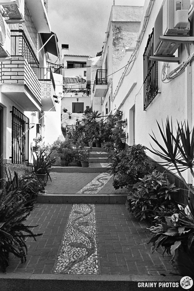 A narrow, stepped alleyway in Vélez de Benaudalla’s Mediterranean village, lined with potted plants and white buildings, with decorative stonework in the centre of the path. The photo is in black and white.