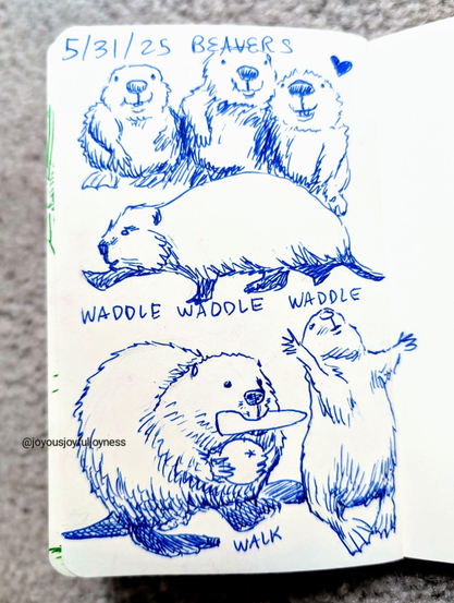 Sketchbook page of 6 drawings of beavers in blue pen ink. At the top is the text 5/31/25 Beavers. Below are three beavers standing together smiling with a heart. Below that is a beaver in profile walking with the words Waddle Waddle Waddle written below. A the bottom left is a beaver holding an apple in its front paws and a carrot in its mouth, walking. To the right is a standing beaver with its arms stretched up.