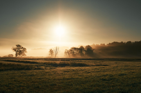 DE: Das Bild zeigt eine neblige Landschaft im goldenen Licht der aufgehenden Sonne. Im Vordergrund erstreckt sich ein Feld mit kurzem, stoppeligem Gras. Einige Bäume sind in den Nebel gehüllt und verleihen der Szene eine geheimnisvolle Atmosphäre. Die Sonne scheint hell durch den Dunst und erzeugt einen Lichtschein, der das gesamte Bild in warme Farben taucht. Der Himmel ist in sanften Übergängen von Dunkelblau zu Goldgelb gefärbt.

EN: The image shows a misty landscape bathed in the golden light of the rising sun. In the foreground, a field of short, stubble grass stretches out. Several trees are shrouded in mist, lending the scene a mysterious atmosphere. The sun shines brightly through the haze, creating a glow that bathes the entire image in warm colours. The sky is coloured in gentle transitions from dark blue to golden yellow.
