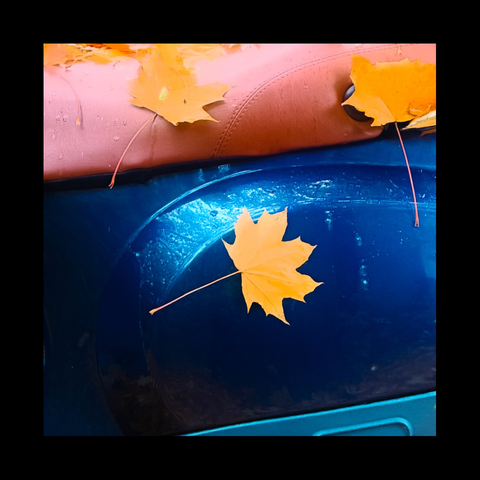 Orangene Blätter auf blauer Verkleidung und Sitz eines Motorrades