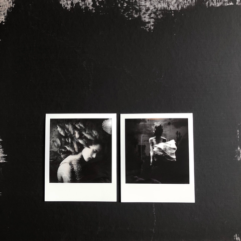 Polaroids of sunken humans