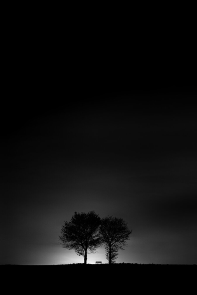 Black and white. Portrait format. Backlit landscape shot. Silhouettes of two trees framing an abandoned bench at dusk.