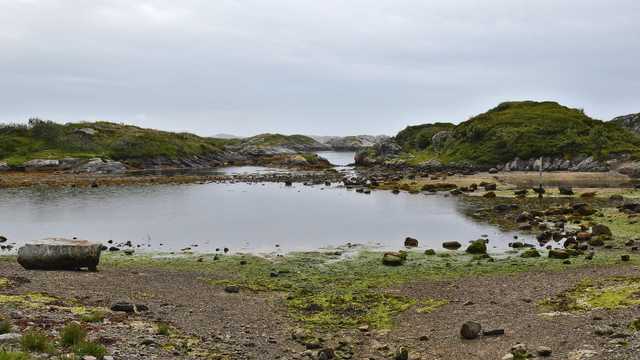 A photo of a shore of shallow water and many small islands. The shore has large amounts of seaweed on it. The sky is overcast.