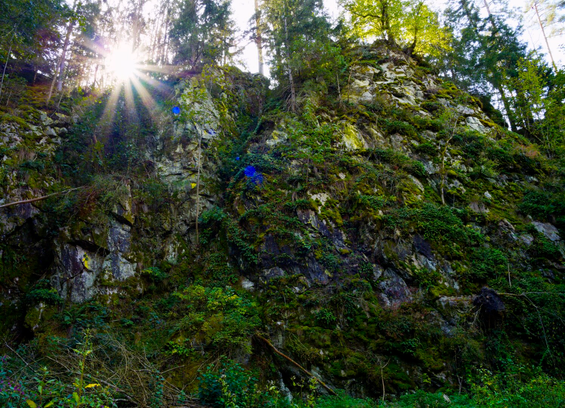 Rock and sunstar along the thalaytal trail, waldviertel, lower Austria