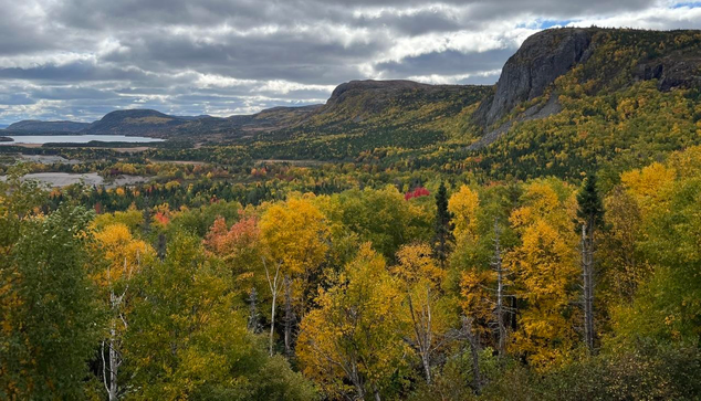 A sweeping landscape of rocky cliffs covered with trees in bright fall colours, with water in the distance and under a heavily clouded sky. The rounded cliff faces track down the side of a river valley along the right side of the image in the foreground, moving to the left side in the distance. The trees leaves are a mixture of yellow, green and red, with white birch trunks in the foreground. One brilliant red tree sits near the centre of the image. The river valley opens into a narrow bay in the distance. The overhead clouds are thick white and grey, with a few spots of blue sky peeking through in between. [Swift Current (NL, Canada), October 2025]