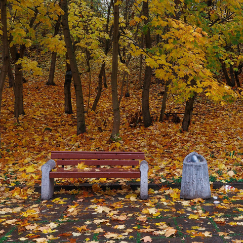 The photo shows an autumn landscape in a park. The trees are covered with yellow and green leaves, which have already started to fall, creating a vibrant carpet on the ground. In the foreground, there is a wooden bench with concrete armrests, set against the backdrop of the autumn landscape. Next to the bench is a trash can. The atmosphere in the photo is calm and peaceful, conveying the feeling of a quiet autumn day.