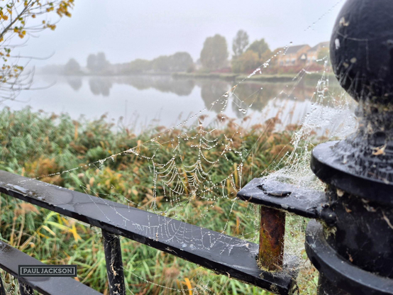 A crisp, misty autumn morning by the lake.

Taken from the edge of a lake as the mist was just starting to lift. The mist in the distance is what gives the whole scene a lovely, soft, slightly mysterious vibe. You can just barely make out the trees and houses across the water.

The real focus though, is right up close: an incredible spiderweb. It's absolutely covered in tiny water droplets, making it sparkle like it's been strung with little diamonds. The web is perfectly stretched across the black railing, which looks damp and a little weathered—the perfect foreground to frame the misty scene behind it. It's a gorgeous little moment of nature's beauty on a misty morning!
