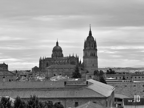 Fotografía en blanco y negro de un paisaje urbano dominado por las Catedrales de Salamanca. En el centro, la imponente Catedral Nueva se distingue por su gran cúpula y sus múltiples torres góticas y detalles renacentistas. A su derecha, se alza la esbelta torre de la Catedral Vieja, coronada por un chapitel cónico y una cruz. En primer plano, se aprecian numerosos tejados de teja de los edificios de la ciudad, con algunos árboles esparcidos. El cielo está cubierto de nubes estratificadas, y en el horizonte lejano se vislumbran colinas. La imagen transmite una sensación de historia y monumentalidad.