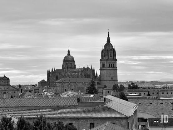 Fotografía en blanco y negro de un paisaje urbano dominado por las Catedrales de Salamanca. En el centro, la imponente Catedral Nueva se distingue por su gran cúpula y sus múltiples torres góticas y detalles renacentistas. A su derecha, se alza la esbelta torre de la Catedral Vieja, coronada por un chapitel cónico y una cruz. En primer plano, se aprecian numerosos tejados de teja de los edificios de la ciudad, con algunos árboles esparcidos. El cielo está cubierto de nubes estratificadas, y en el horizonte lejano se vislumbran colinas. La imagen transmite una sensación de historia y monumentalidad.