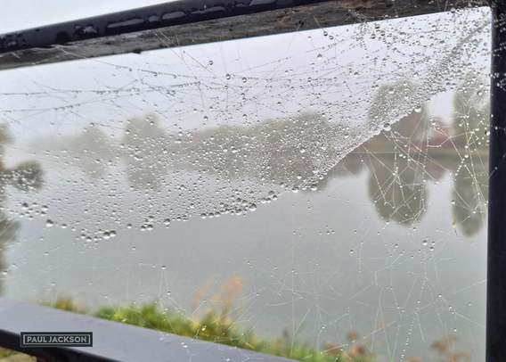 A beautiful close-up and detail shot focusing entirely on a spiderweb on a railing and the misty lake atmosphere it frames.

The dew-laden spiderweb set against a hazy background is the central and most detailed element, perfectly framed by the dark, horizontal and vertical bars of a metal railing. The silk strands are intensely detailed, heavily strung with numerous water droplets that catch the light, creating a shimmering, pearl-like effect. The contrast between the sharpness of the delicate, saturated web and the soft background is striking.

The scene beyond the web is dominated by a thick layer of mist that fills the air, giving the entire distant view in a muted, monochromatic grey. Elements in the middle ground, such as the tree silhouettes, are reduced to dark, indistinct shapes floating in the haze. The combination of the immediate, delicate detail of the natural structure and the vast, atmospheric ambiguity of the background lends the image a beautiful, tranquil, and moody quality.
