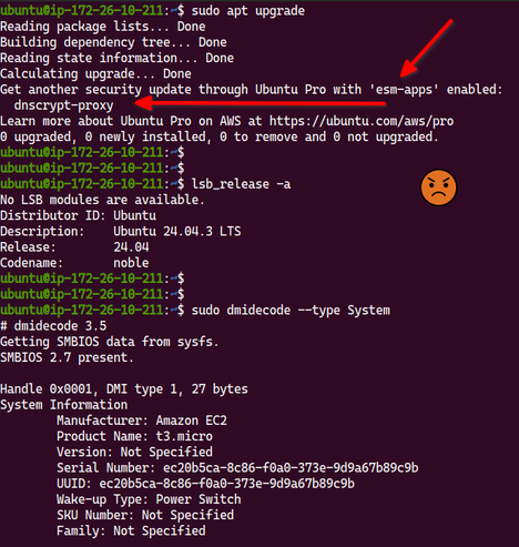 me trying to apply ubuntu linux 24.04 LTS security upgrades to only told that I need pro subscriptions when i ran the `apt upgrade` command.