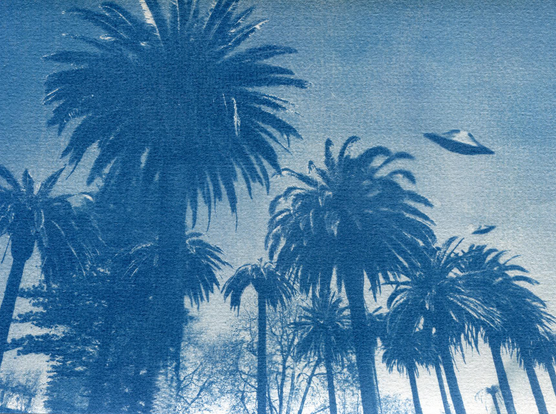 Cyanotype d'un ensemble de palmiers en contre-plongée et surplombés de deux soucoupes volantes. Bien sûr, c'est un collage. Imaginez la panique au bord du Douro, sinon.