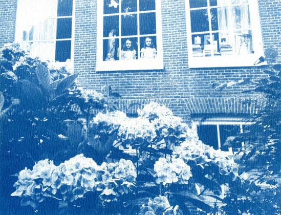 Cyanotype de la façade d'un béguinage amstellodamois derrière la fenêtre duquel se trouve les jumelles de Shining (c'est aussi un collage). Au premier plan, un gros bosquet d'hortensias.