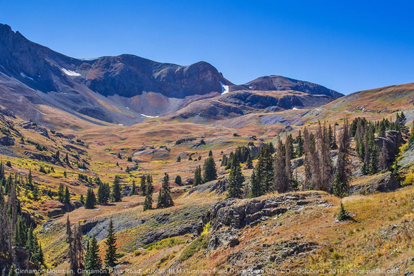 View up a wide, ascending valley of rolling terrain. A few tall, narrow conifers in the foreground before the elevation reaches the timber line. The ground is covered with low grasses and plants that have turned various hues of autumn color including yellow, rust, brown, and a little green. Mother rock breaks through some areas. Above are bare rocky peaks with slopes of scree. Blue sky.
©BosqueBill.com