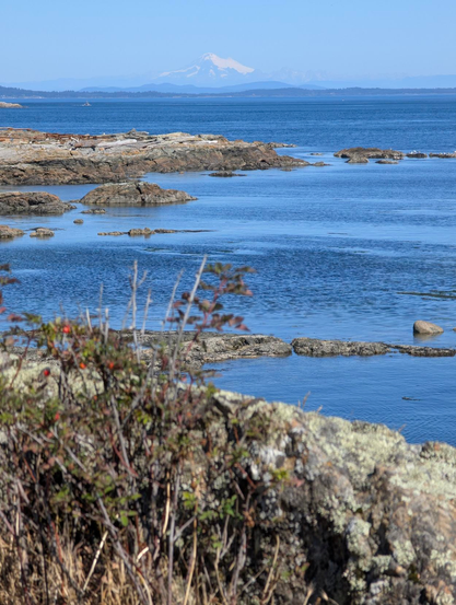 A snow capped Mount Baker sits above the blue Salish sea.
The grey brown rocks of cattle point frame the bottom of the shot.