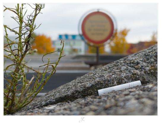 Close-up taken slightly above the ground. The view is directed towards the curb of a platform made of grainy stone. It rises at an angle from the bottom left of the picture to above the center on the right edge. Directly in front of the stone, an HTP cigarette lies on the platform. It is white with some red and gray wavy lines on it. The left part of the picture is dominated by the green foliage of a plant growing in the gap between the platform and its edge. In the blurred background is a round sign with a red border. One can guess text on it which cannot be read. There are also some blurred buildings and autumnal colored tree tops.

AI disclaimer: Using my work, its meta data, written or derived description to create media with or train AI based systems is prohibited.