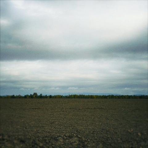 Trees line the horizon in the distance behind a vast, flat, recently tilled field under a cloudy sky.