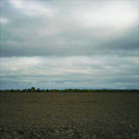 Trees line the horizon in the distance behind a vast, flat, recently tilled field under a cloudy sky.