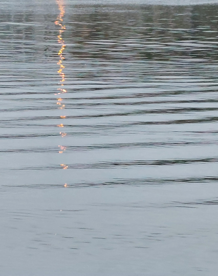 Vertical light reflection in water. A golden beam of light is fragmented by the rhythm of the ripples on the water's surface and dissolves as it reaches the viewer. Magicsl light, enchanted.