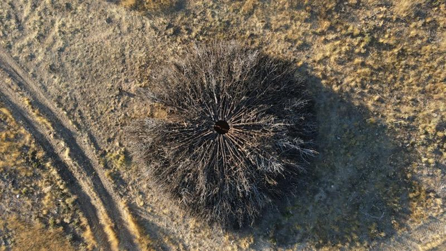 an aerial view of a round sculpture by Nomad Studio