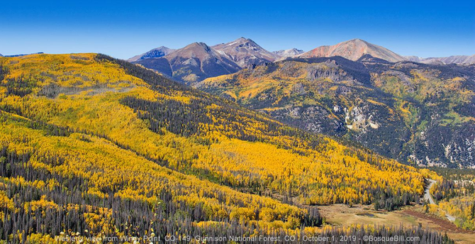 Expanse of alpine slopes covered with golden aspen. In the distance a series of mountain peaks. Blue sky.
©BosqueBill.com
