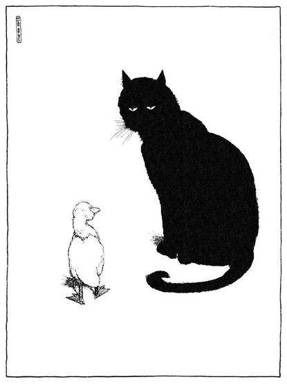 A black cat, whose only discernible feature is its phlegmatic gaze, watches an approaching duckling.