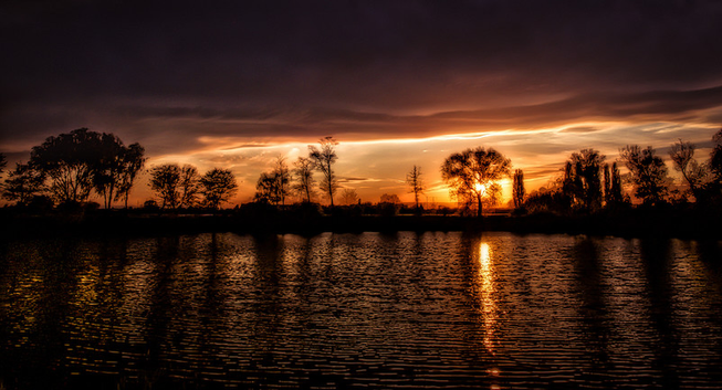 Eine schöne Abendstimmung mit einer sehr tiefstehenden Sonne die durch die Bäume einen See scheint. Der Himmel ist teiweise bewlökt und ist den verschiedenen Gelb - und Goldtönen zu sehen.
