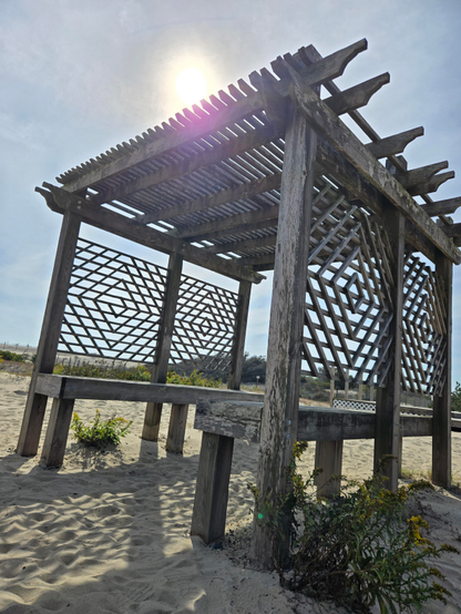 Photograph of an all wooden gazebo taken from below on a sandy beach with some shrubby grass in two spots. The sun can be seen through the slats in the roof.