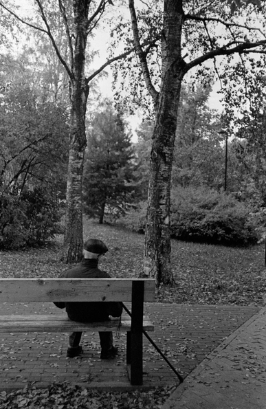 The photo shows an elderly man sitting on a park bench. He is holding a cane and wearing a dark jacket and cap. He seems to be lost in thought or simply enjoying the moment. Trees and shrubs surround him, and fallen leaves are scattered on the ground. The atmosphere is calm and peaceful.