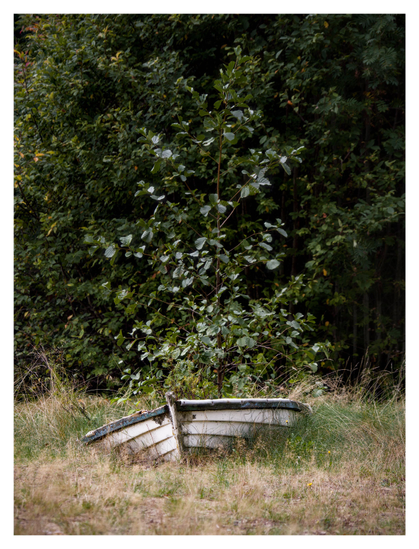 En stående bild på en vit träeka nedsänkt i gräset framför några gröna lövträd.