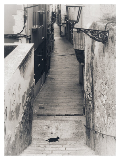 Black and white image taken at the top of a stone staircase, looking down through a narrow mediaeval street. A black cat runs across the bottom of the steps. An old fashioned lantern hangs from the walls flanking the steps.