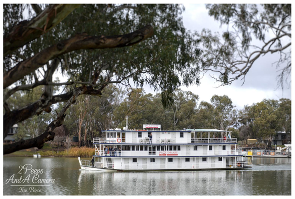 A white, multi decked paddle steamer, the Proud Mary, cruises on a wide river. The boat is seen from the shore, framed in the foreground by dark, out of focus tree branches hanging down from the top left.

The banks of the river are lined with a dense forest of Australian gum trees under an overcast sky. The water is calm and the atmosphere is tranquil.
