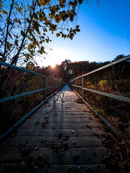 Foot bridge at sunset. The bridge appears to cross a heavy vegetation area towards what look a trees