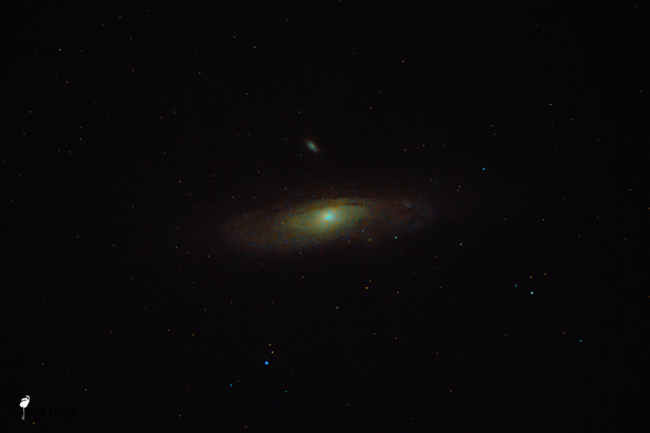 An image of a galaxy far, far away. It looks like a yellow saucer with a radial light gradient and some concentric tea swirls. A smaller galaxy can be seen above it. A few stars are visible around the galaxy.