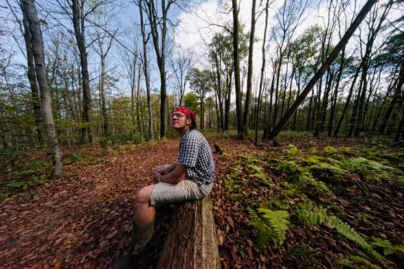 Near the center of an image is a man that looks small wearing a blue checked shirt, blue shorts and a red bandanna,  he's sitting on a log that runs right down the centerline and is surrounded by numerous trees that have recently lost their leaves