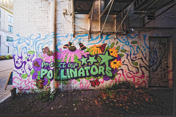 A wall immediately in front of us has numerous attachments but has painted over with "Protect our POLLINATORS" and three stars in purple stroke and green fill surrounded by purple and yellow flowers and a maze of red and purple lines behind that