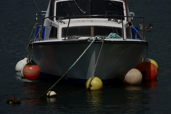 A ship surrounded by buoys
