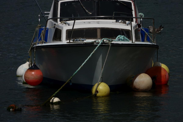 A ship surrounded by buoys