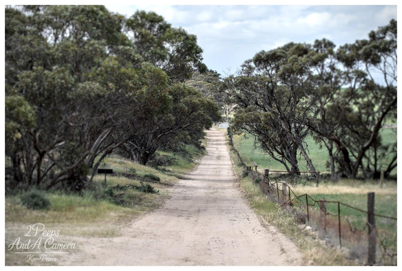 A long, straight, dusty dirt track lined with native Australian trees and scraggly brush on a slightly overcast day. 

The track leads up a gentle hill toward a distant white gate, with a dilapidated wire fence and dry grass pastures on the right side. The overall mood is quiet and rustic.