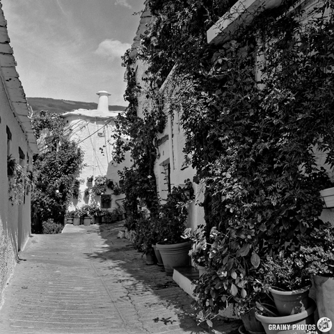 Narrow cobblestone street in Capileira, Spain, lined with white-washed buildings, potted plants, and climbing vines. Shadows and sunlight create contrast; mountains rise in the background beneath a partly cloudy sky.